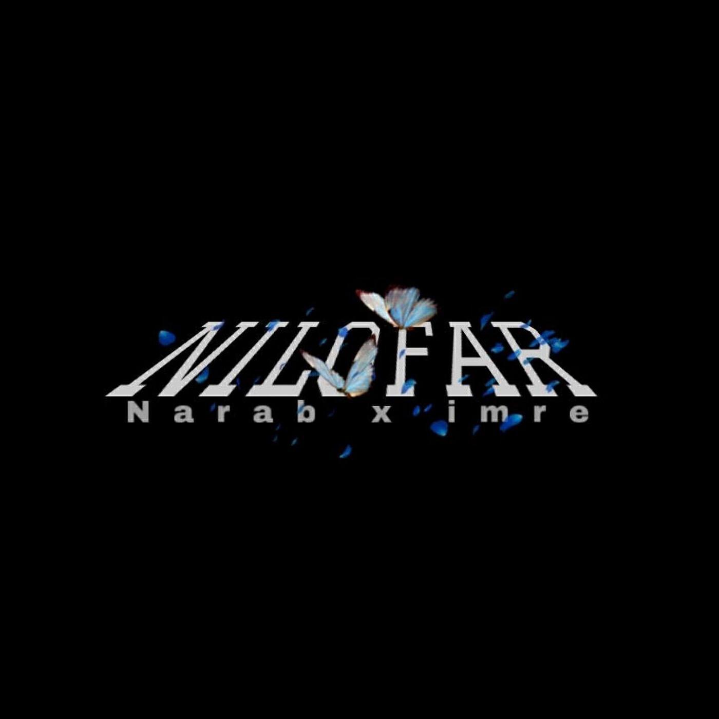 NARAB