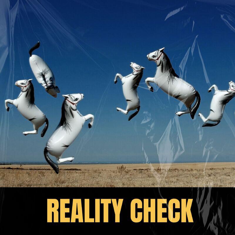 Постер альбома Reality Check