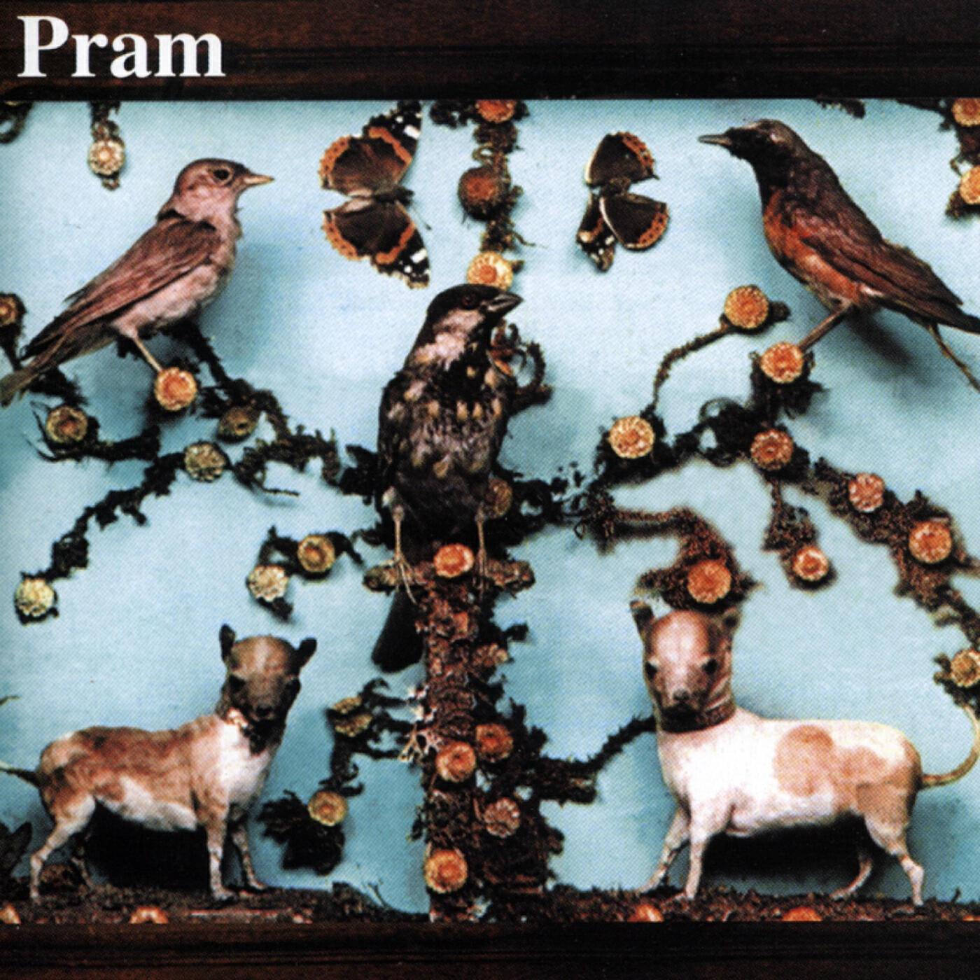 Релиз The Museum Of Imaginary Animals