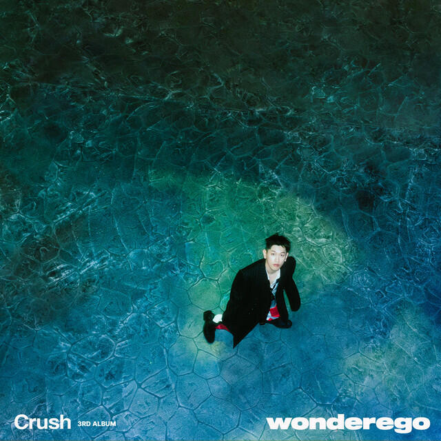 Релиз wonderego