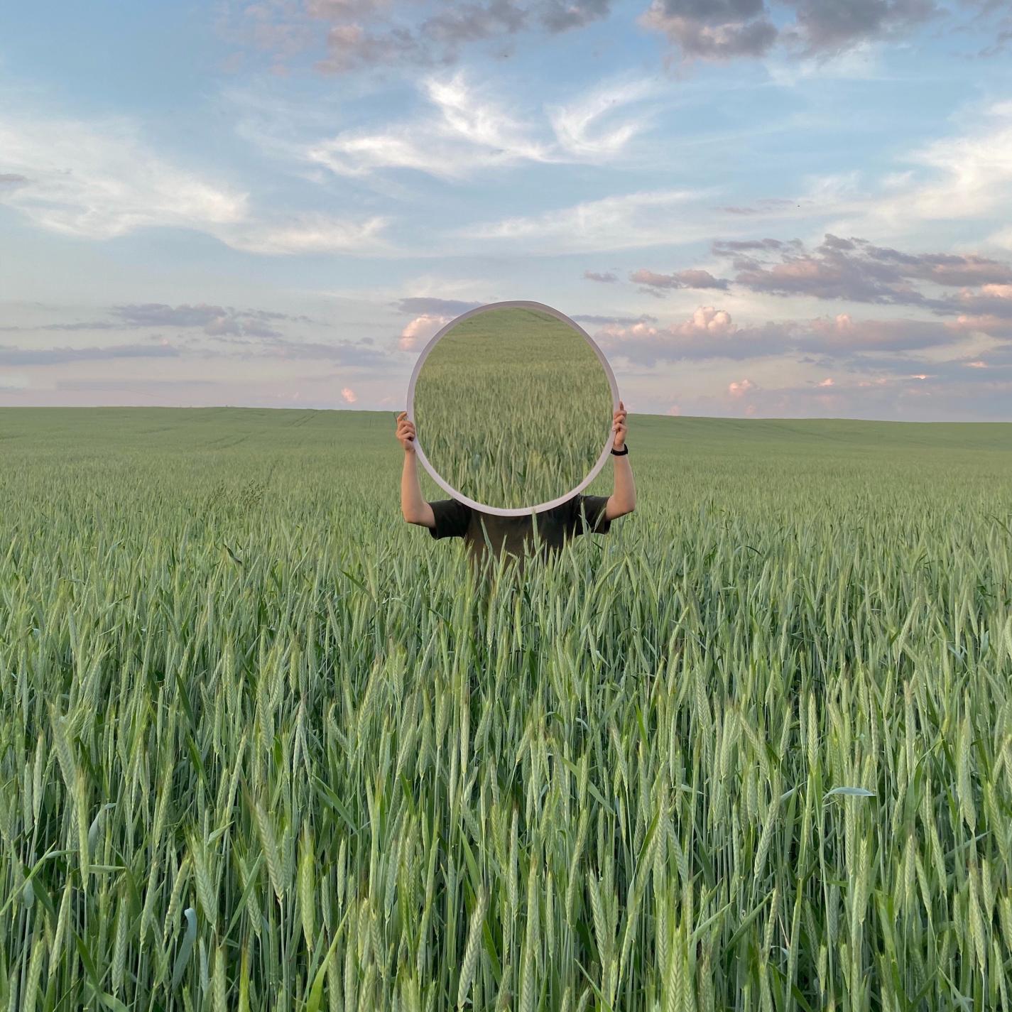 Релиз The Meadows Are Gone