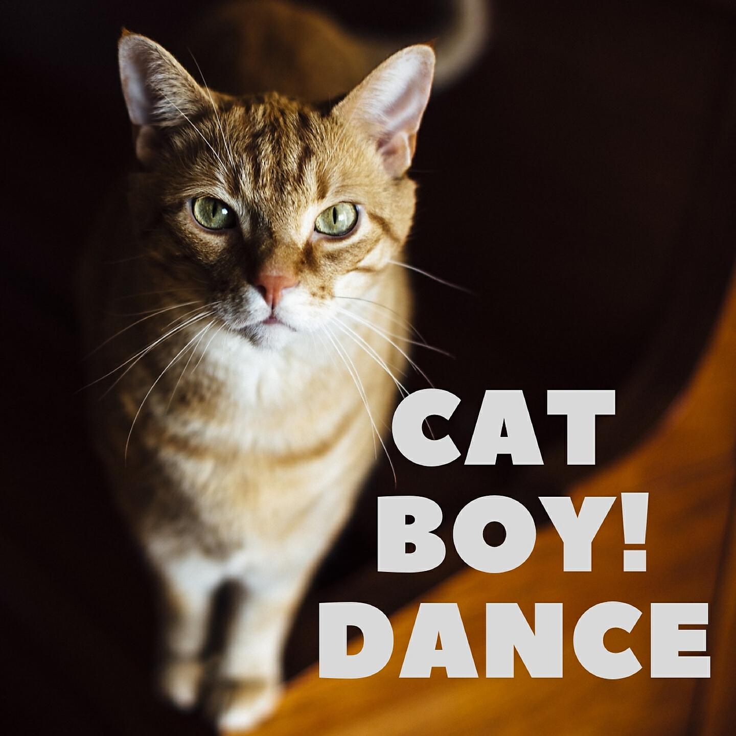 Релиз CAT BOY! DANCE