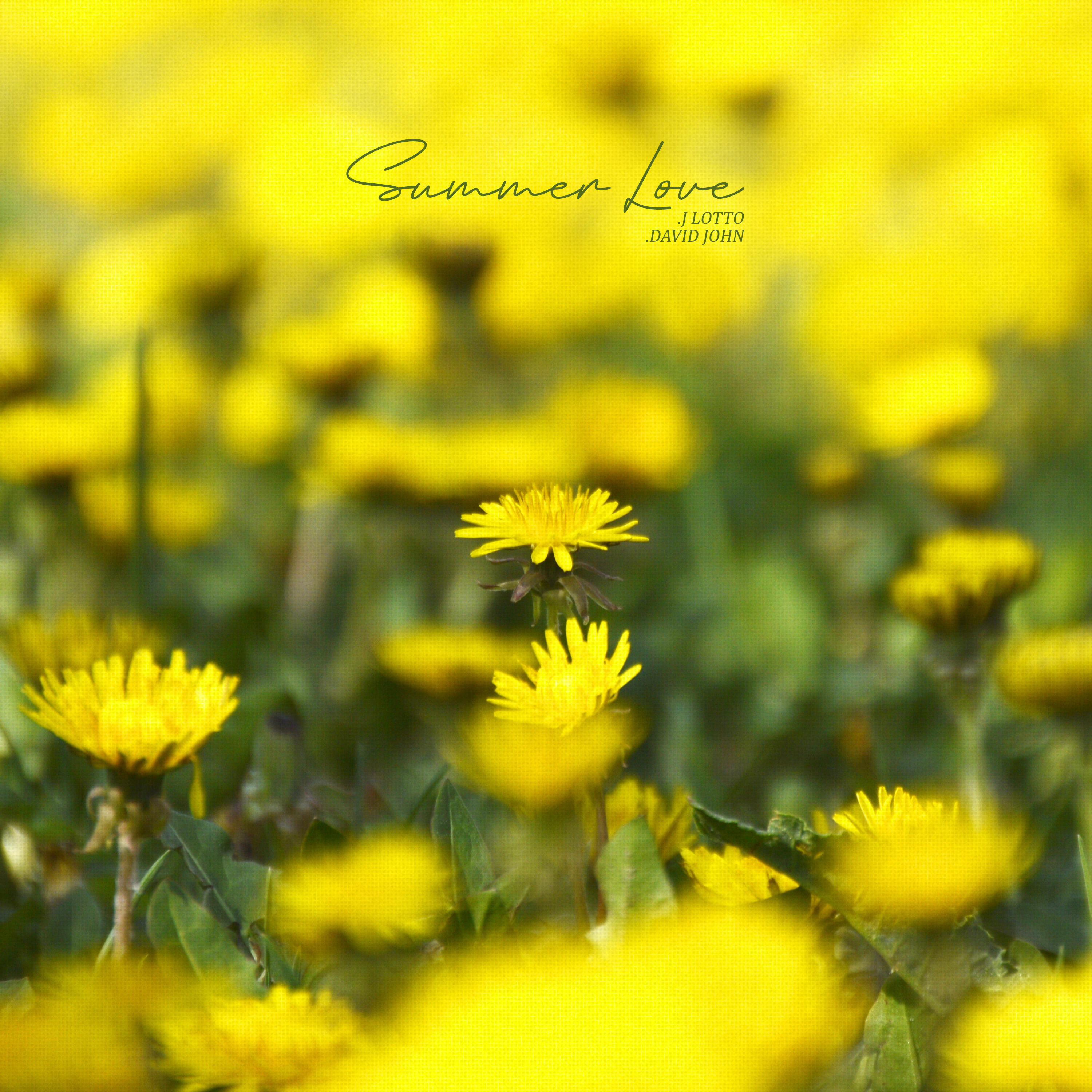 Релиз Summer Love