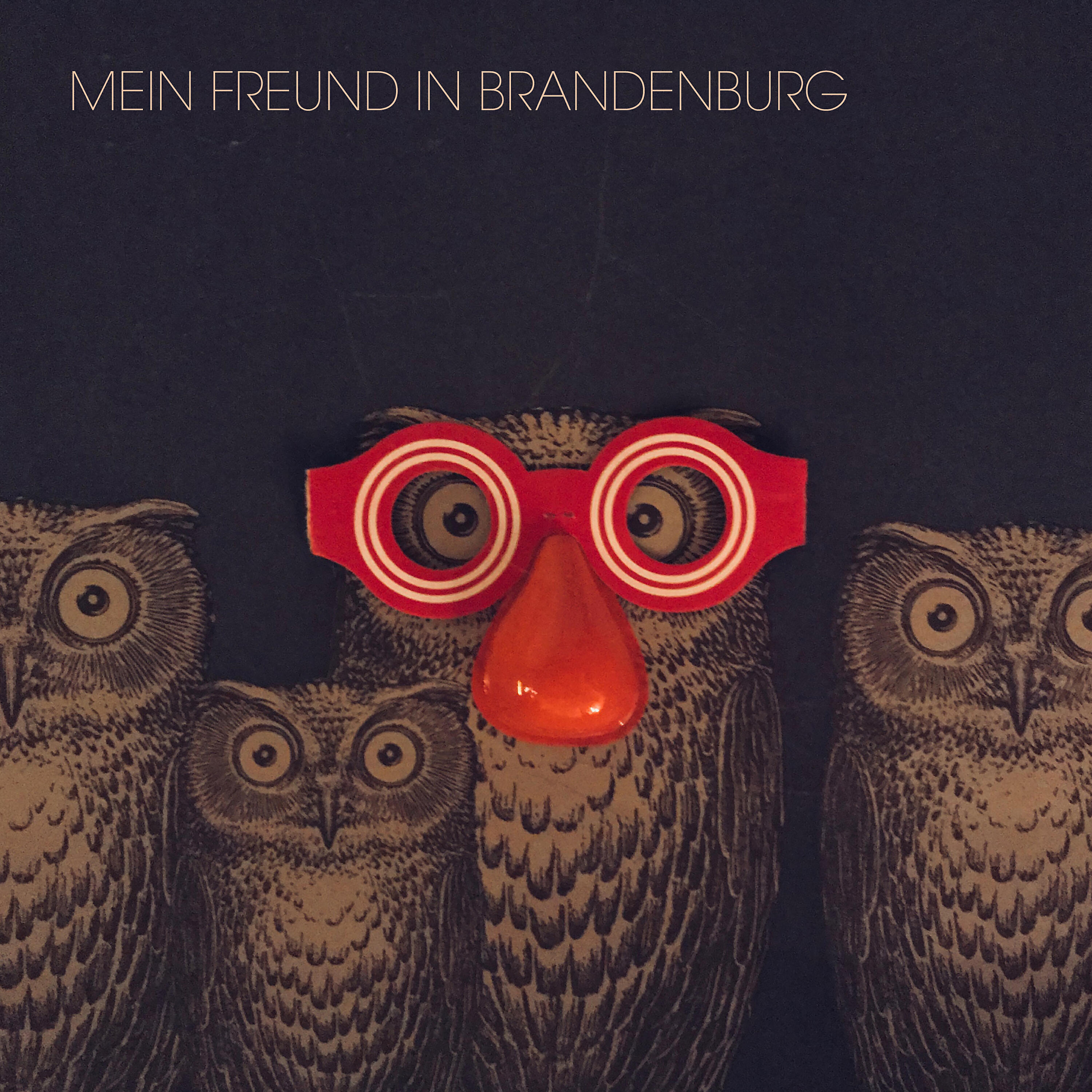 Релиз Mein Freund In Brandenburg