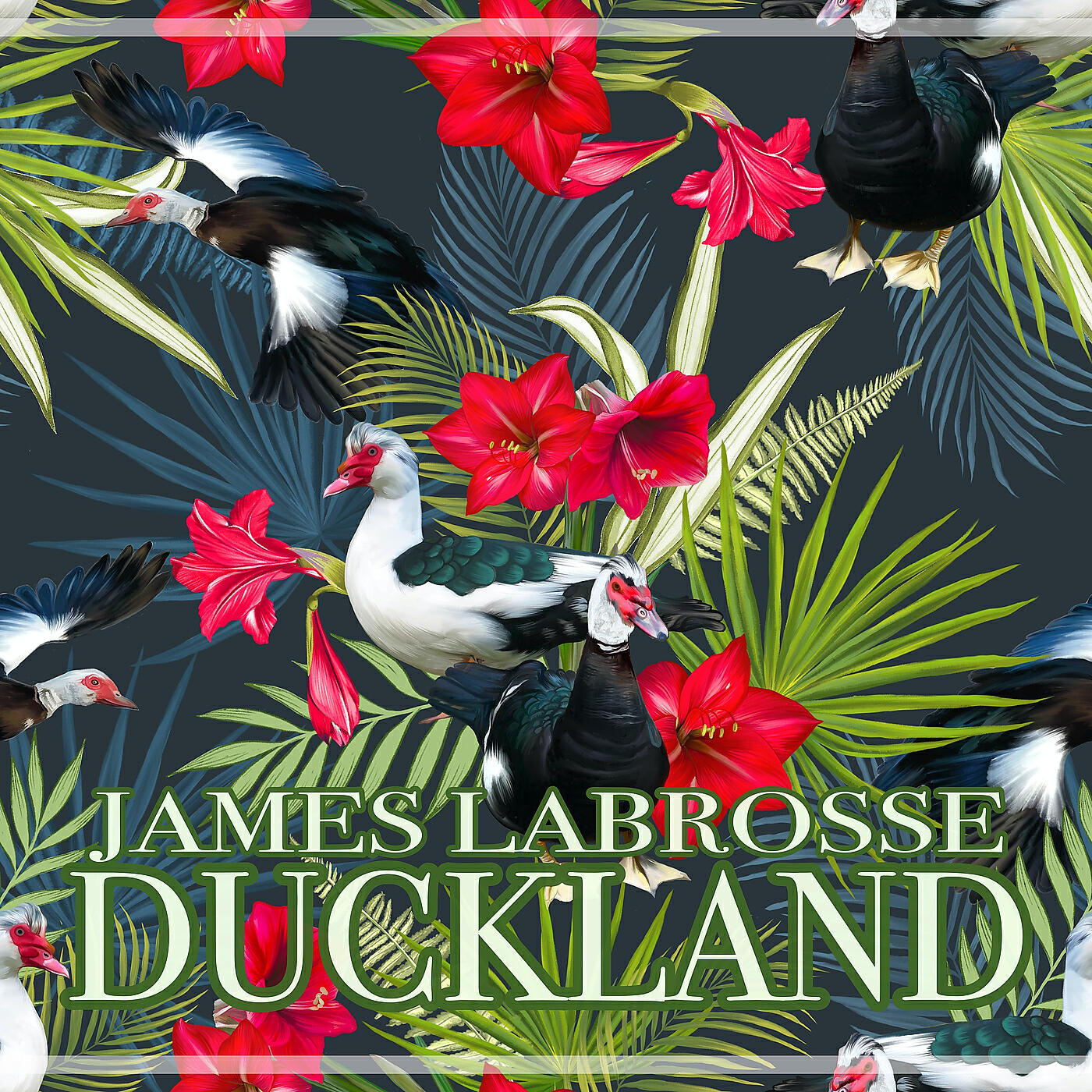 Релиз Duckland