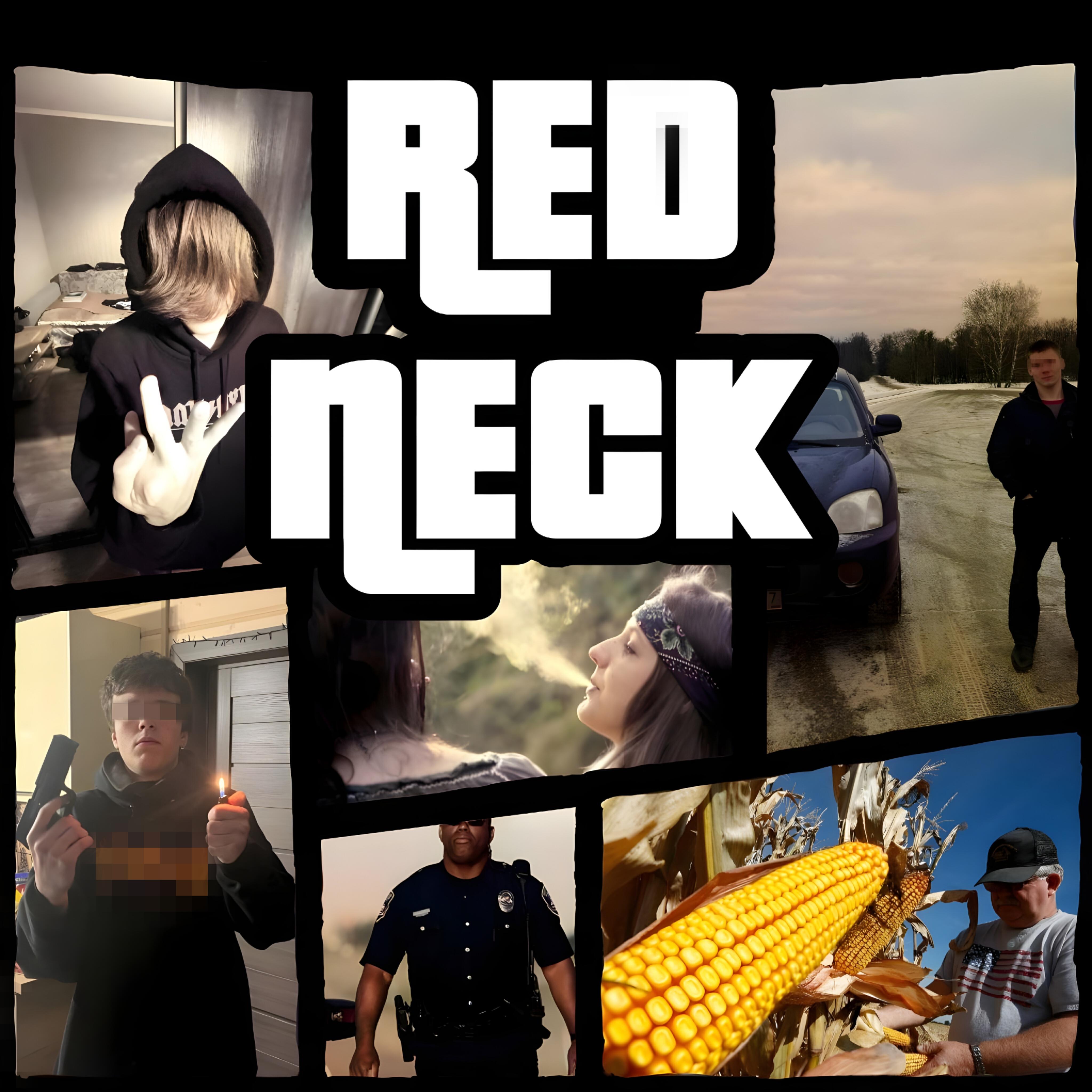 Постер альбома Redneck