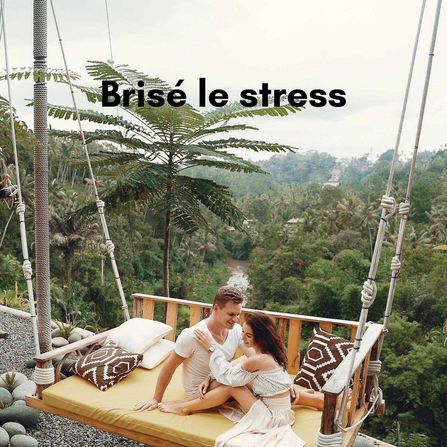 Релиз Brisé le stress - Musique d’ambiance,