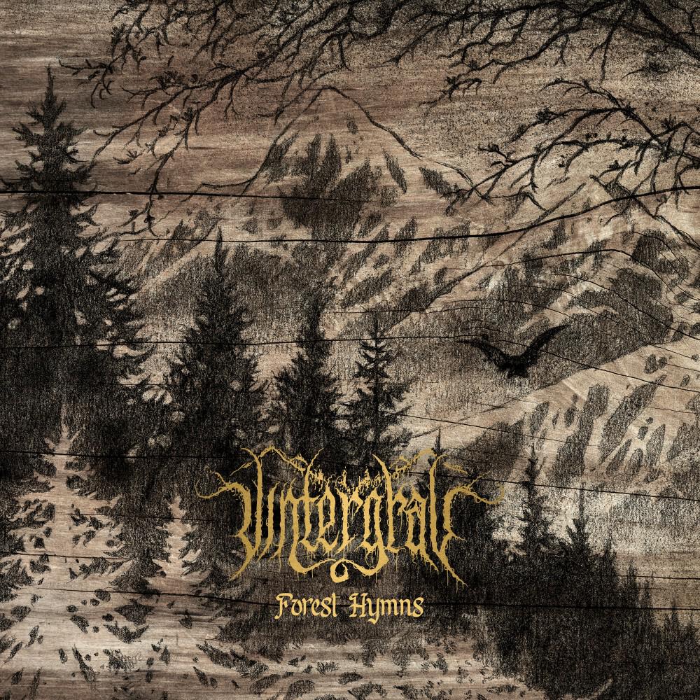 Постер альбома Forest Hymns