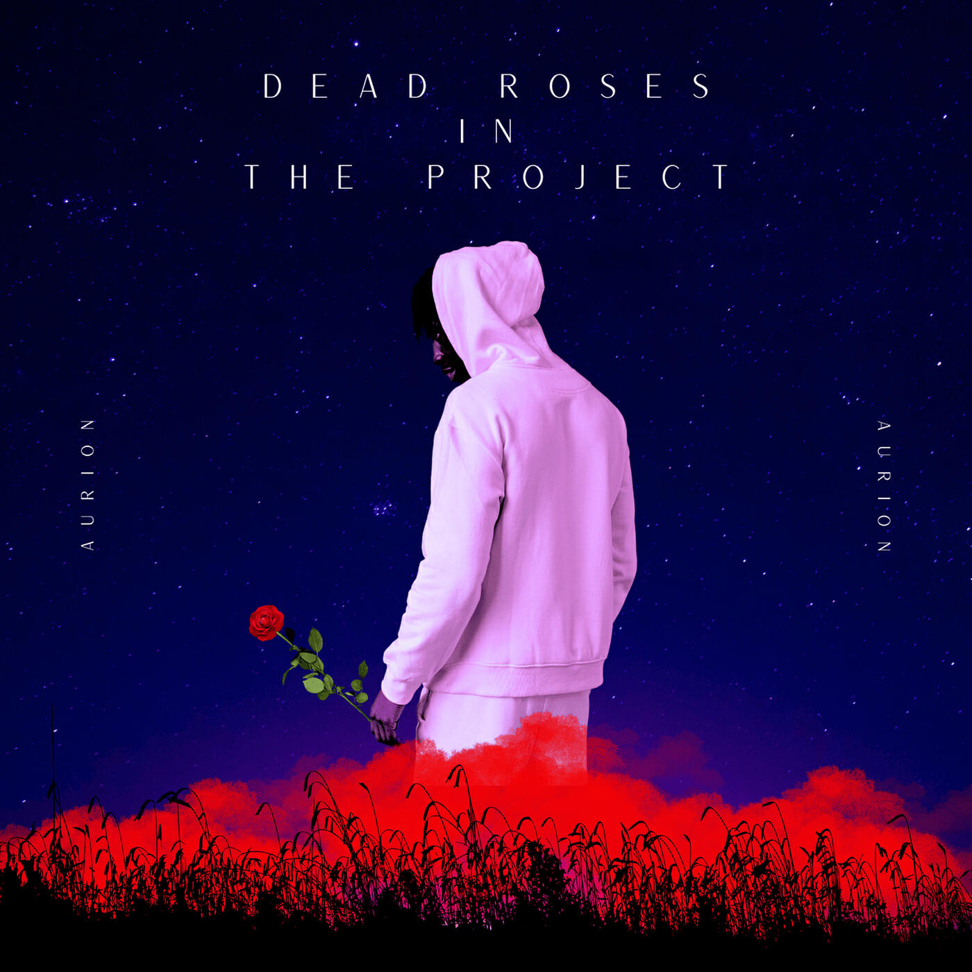 Релиз Dead Roses in the Project