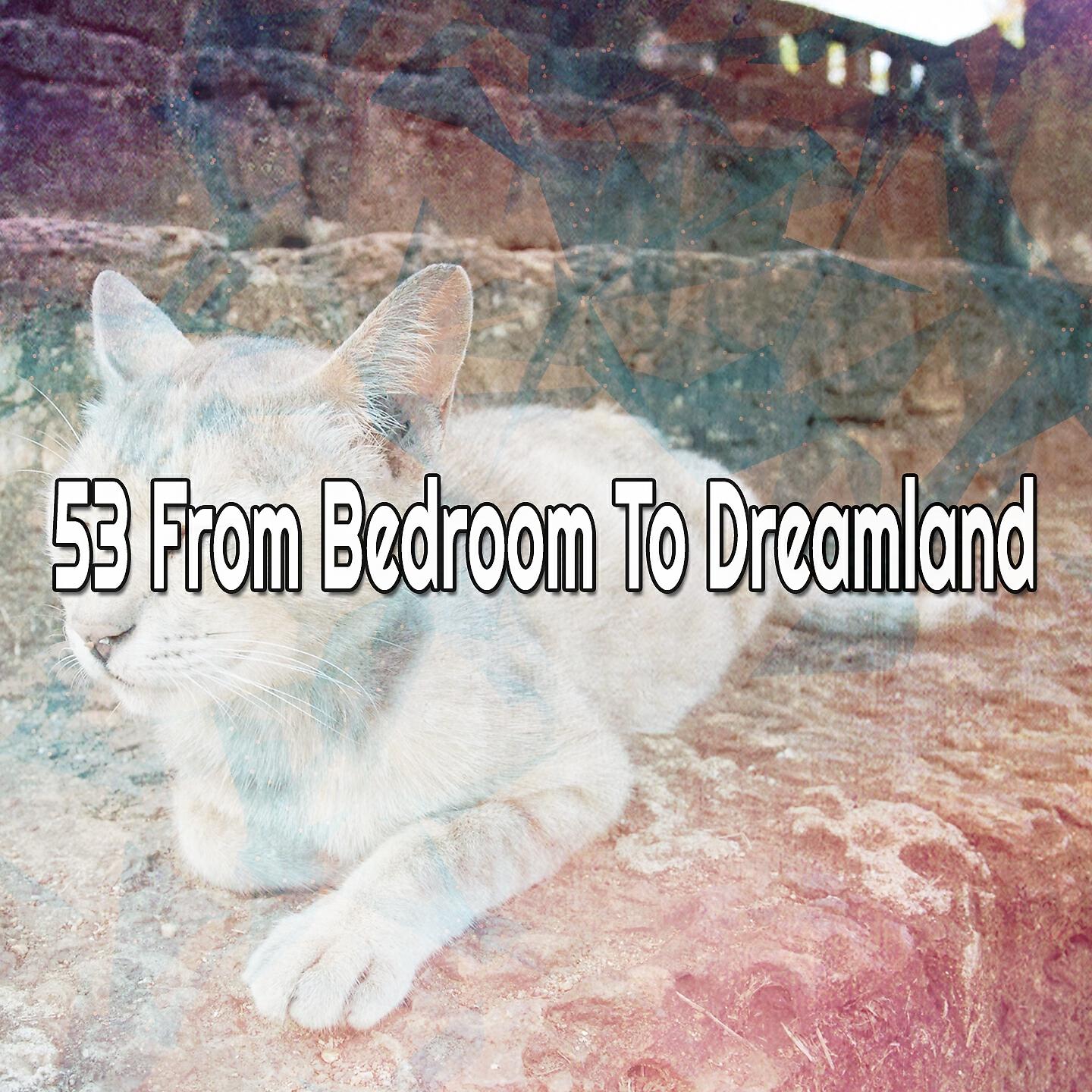 Релиз 53 From Bedroom To Dreamland