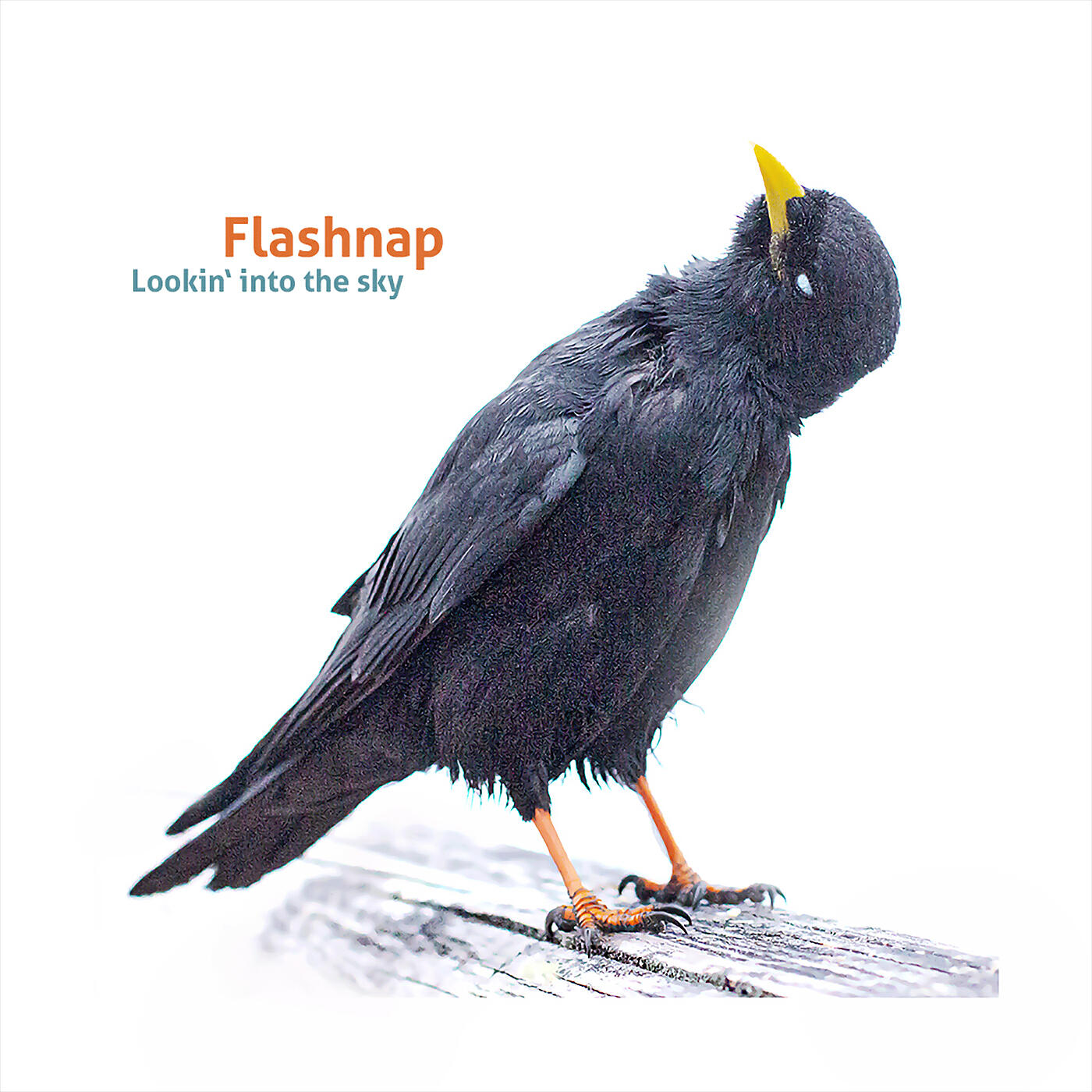 Релиз Lookin' into the Sky