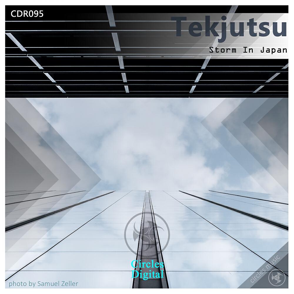 Постер альбома Storm In Japan