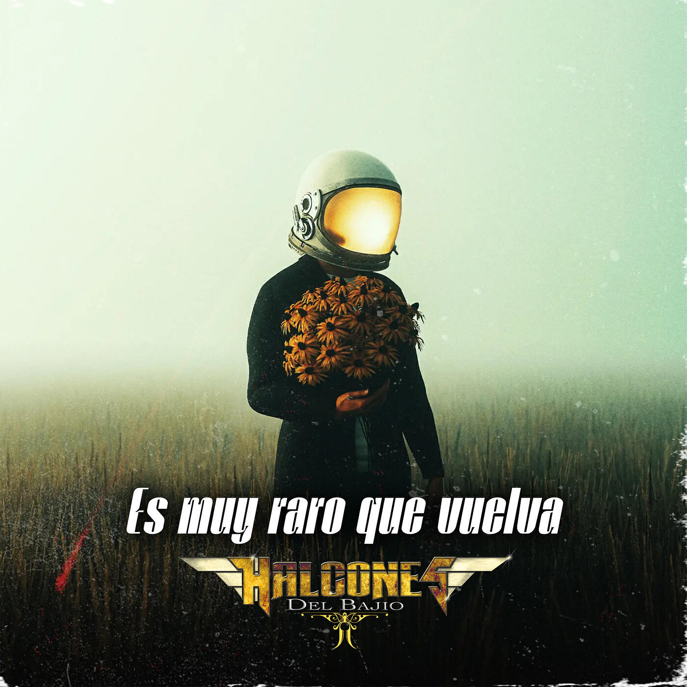 Релиз Es Muy Raro Que Vuelva