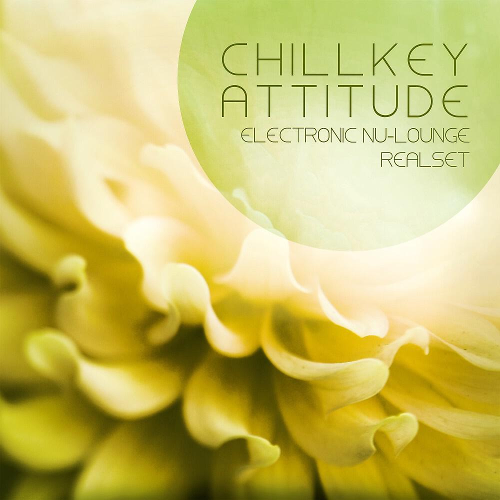 Релиз Chillkey Attitude (Electronic Nu-Lounge Realset Rebuild)