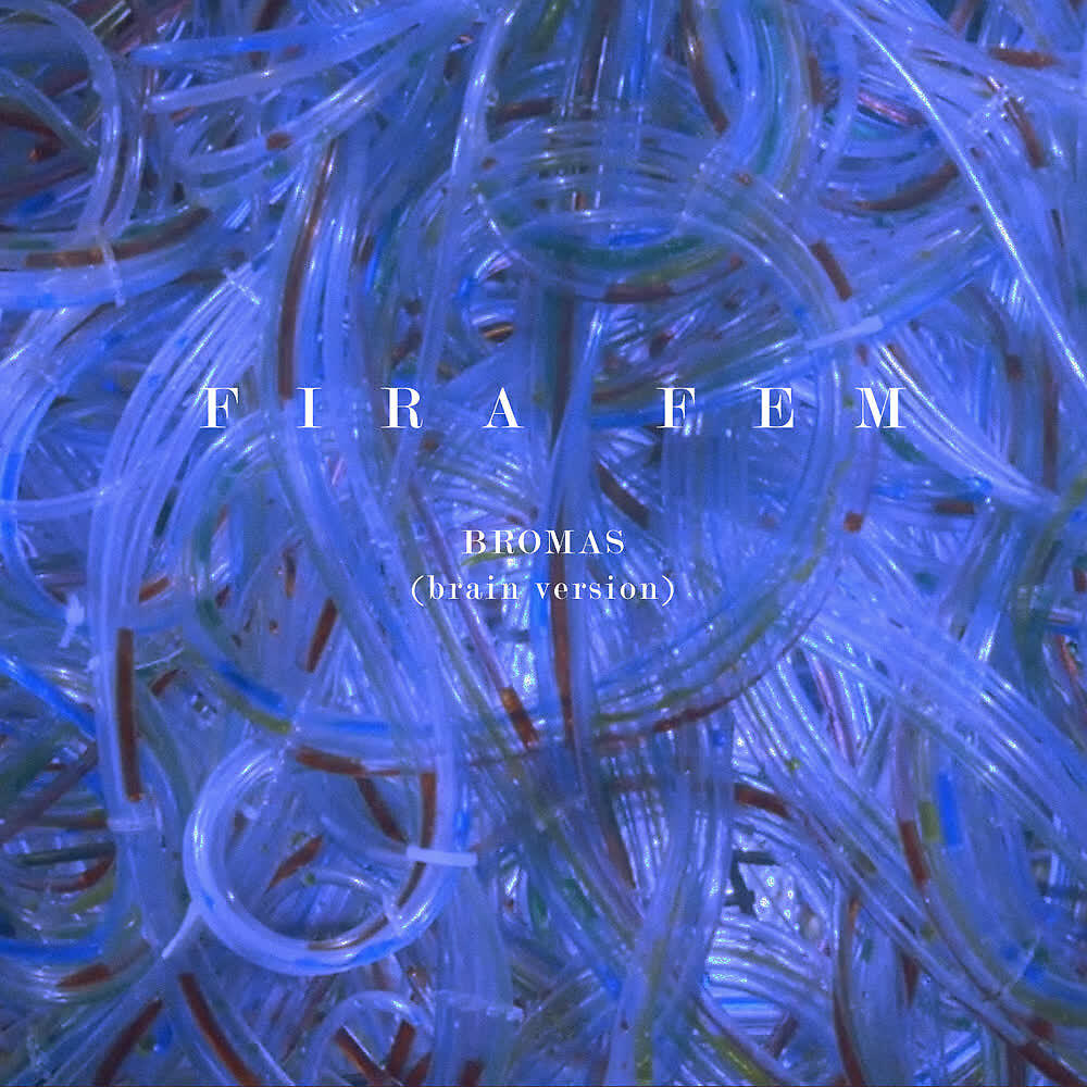 Релиз Bromas (Brain Version)