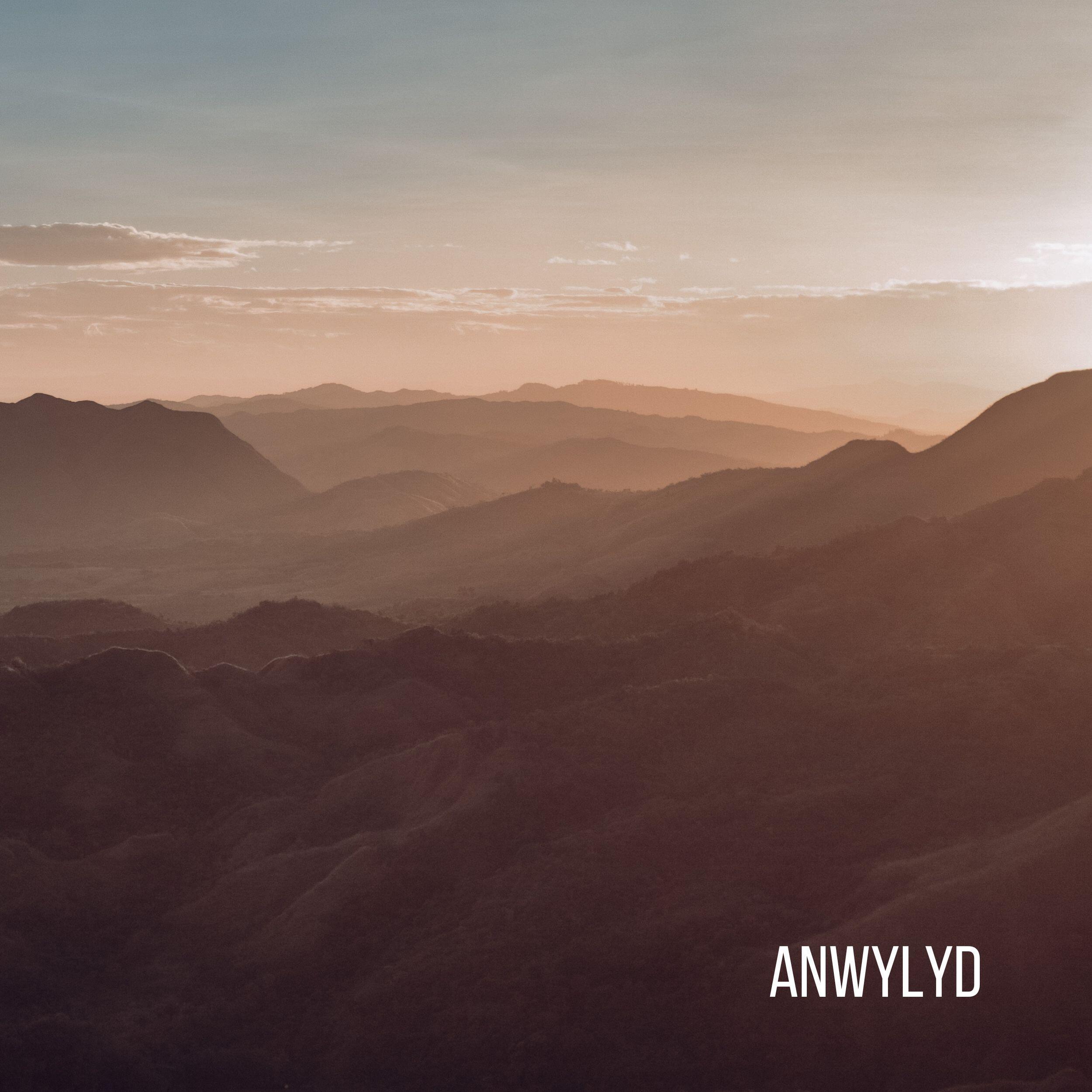 Релиз Anwylyd