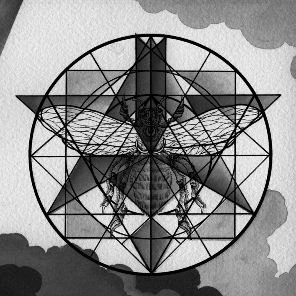 Релиз Two Angles of a Triangle