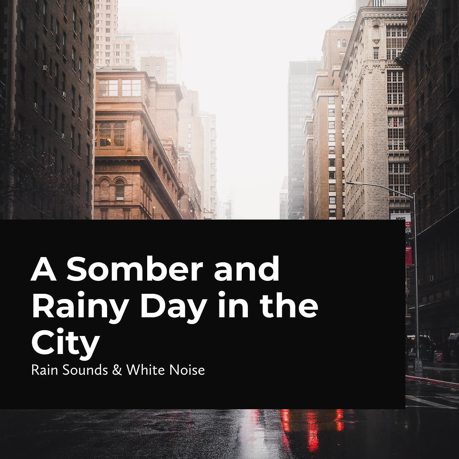 Постер альбома A Somber and Rainy Day in the City