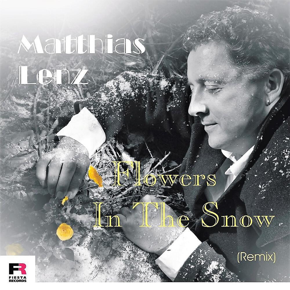 Релиз Flowers in the Snow (Remix)