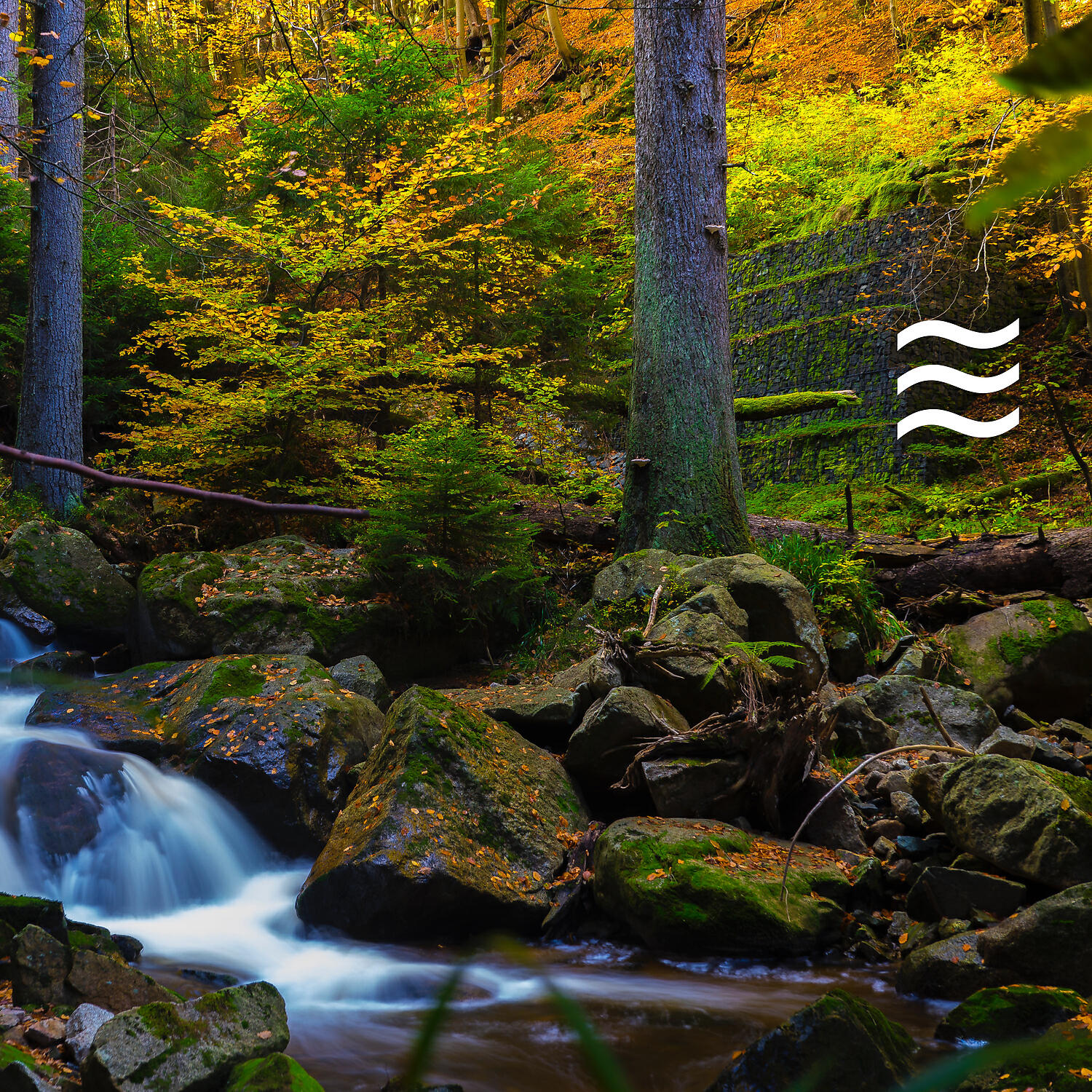 Релиз Rainfall for Babies Calm Sleep