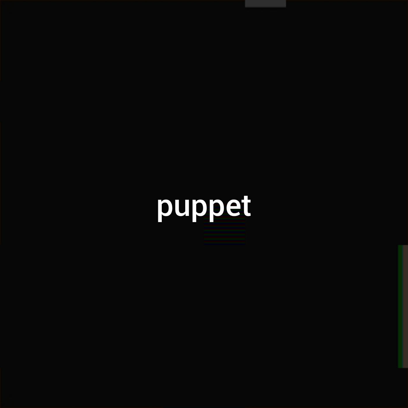 Постер альбома Puppet