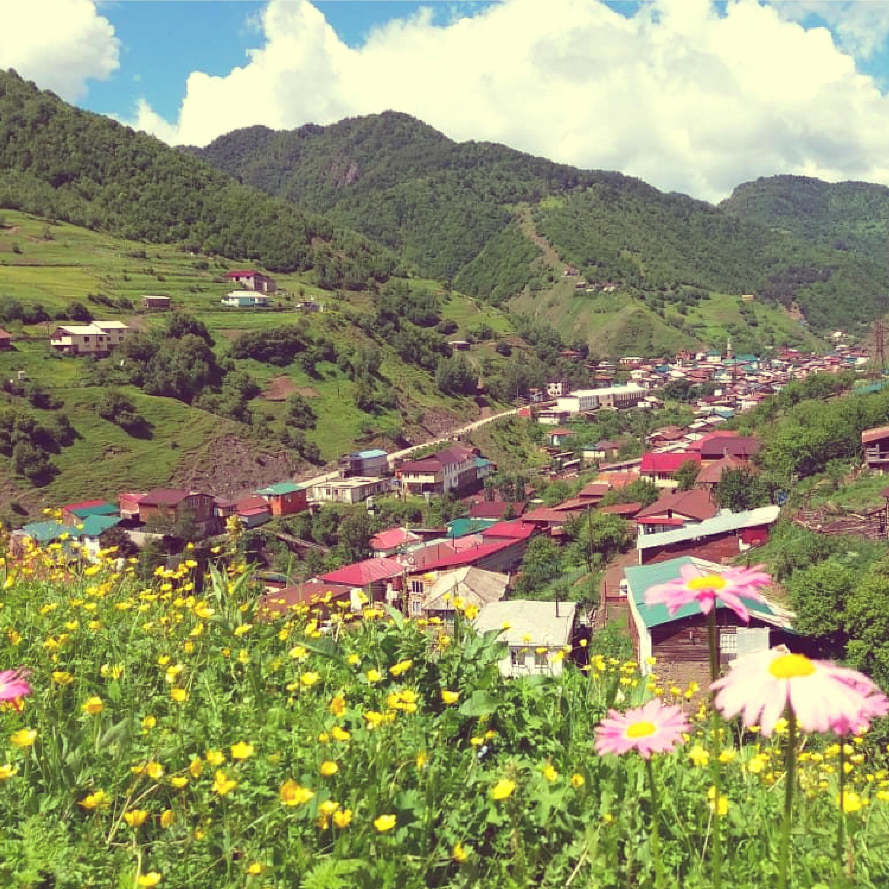 Халисат Гамидова