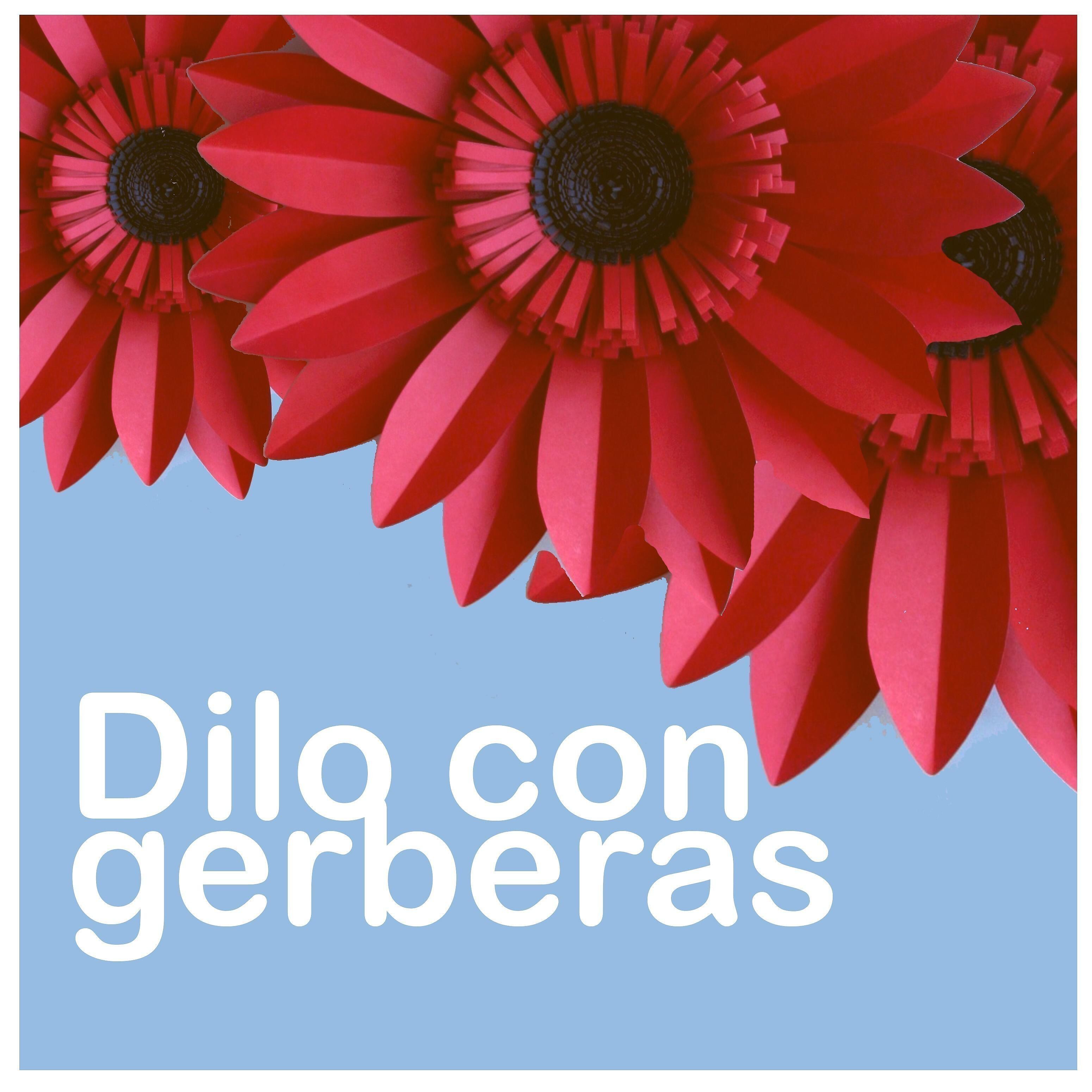 Релиз Dilo Con Gerberas