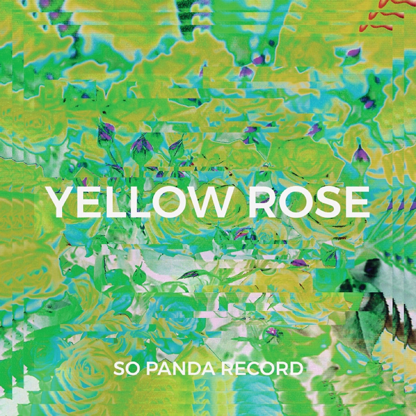 Релиз Yellow Rose