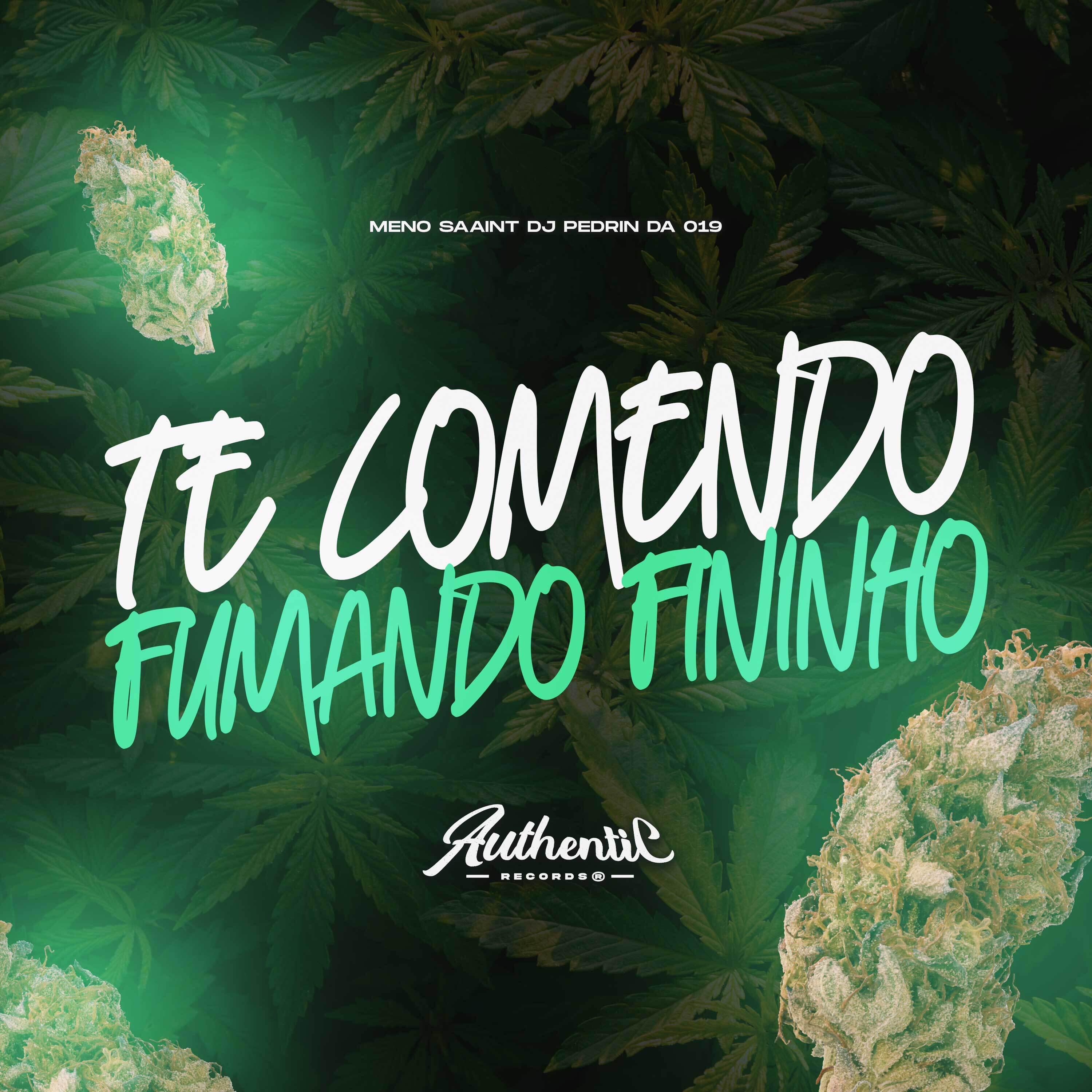 Скачать песню DJ PEDRIN DA 019, Meno Saaint - Te Comendo Fumando Fininho бесплатно в MP3 для Android и iOS