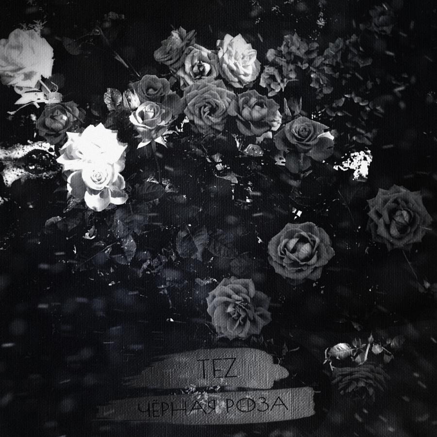 Волна по релизу