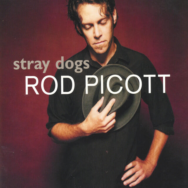 Релиз Stray Dogs