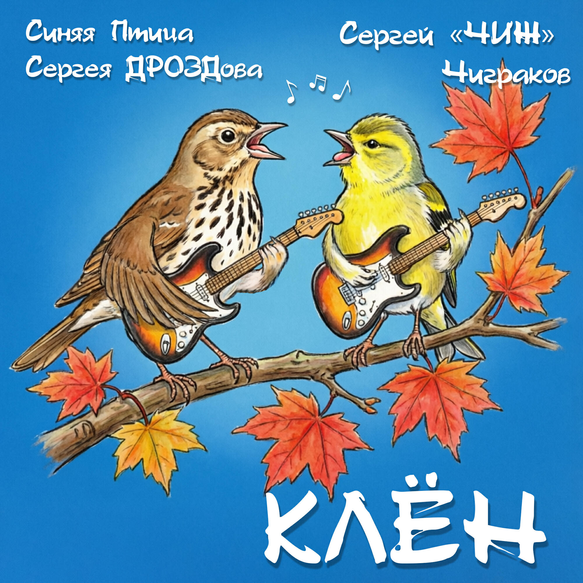 Релиз Клён