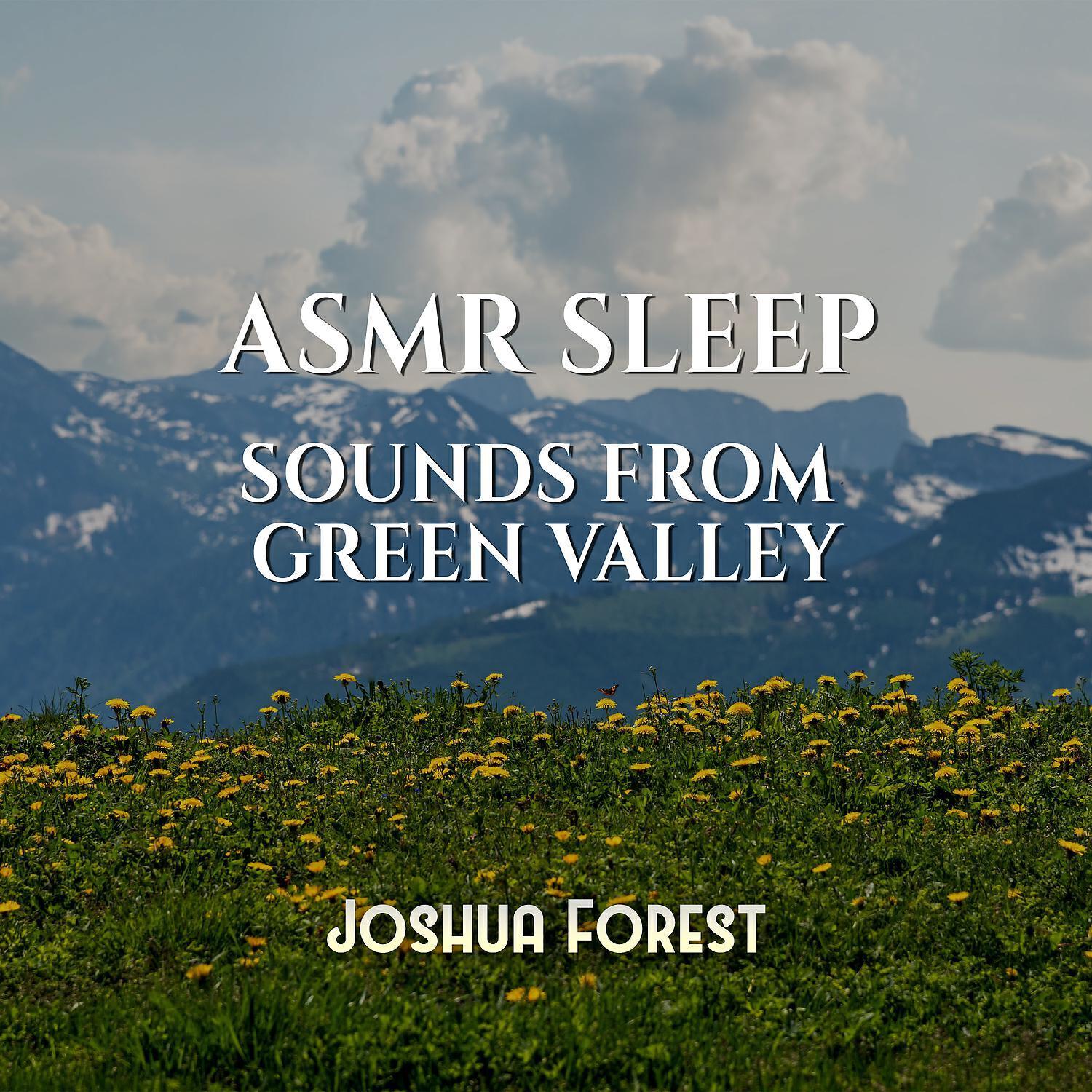 Joshua Forest