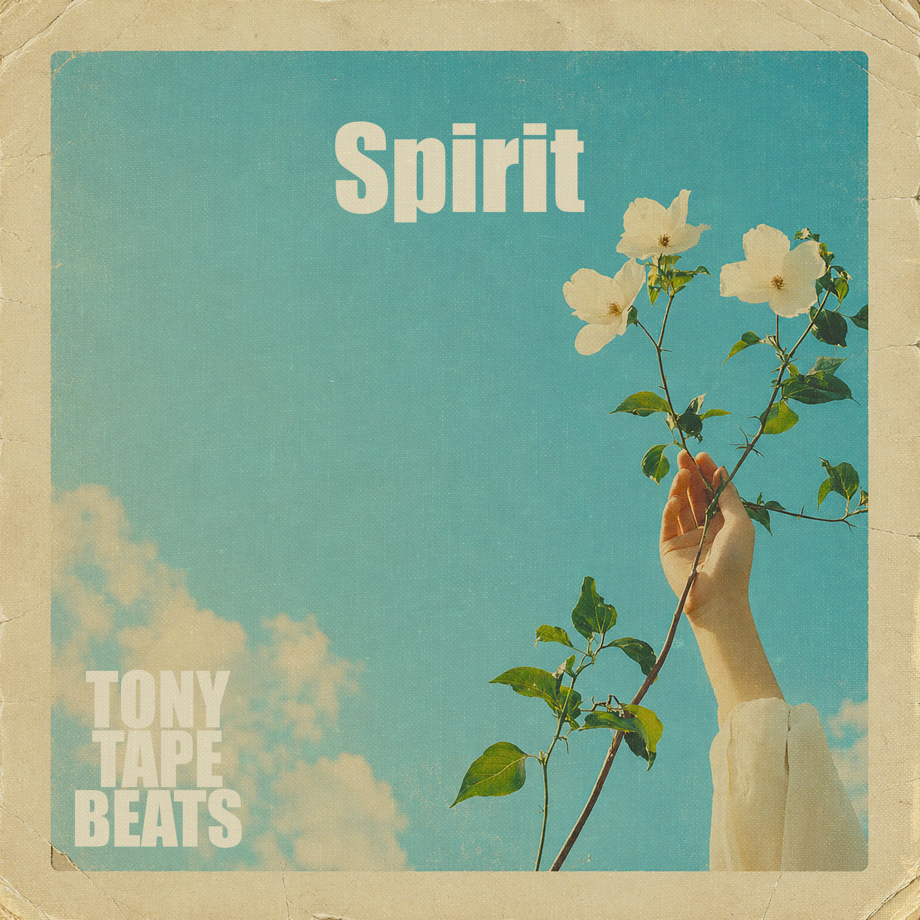 Релиз Spirit