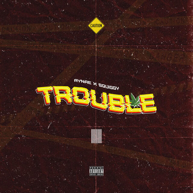 Релиз Trouble