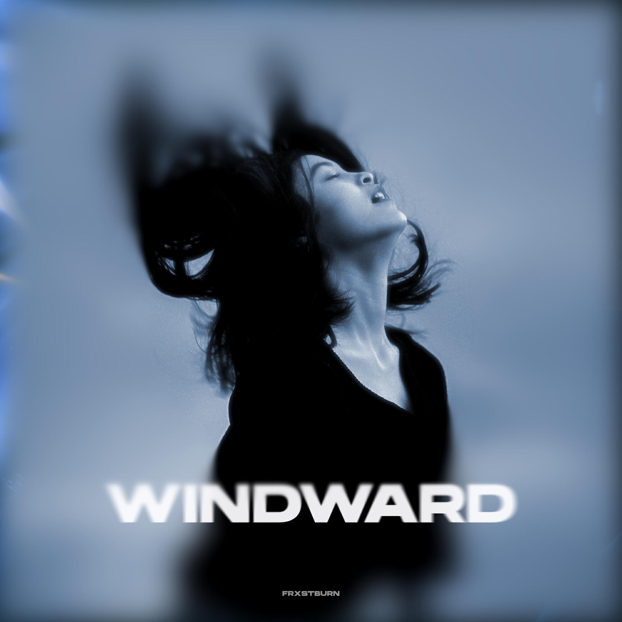 Релиз Windward