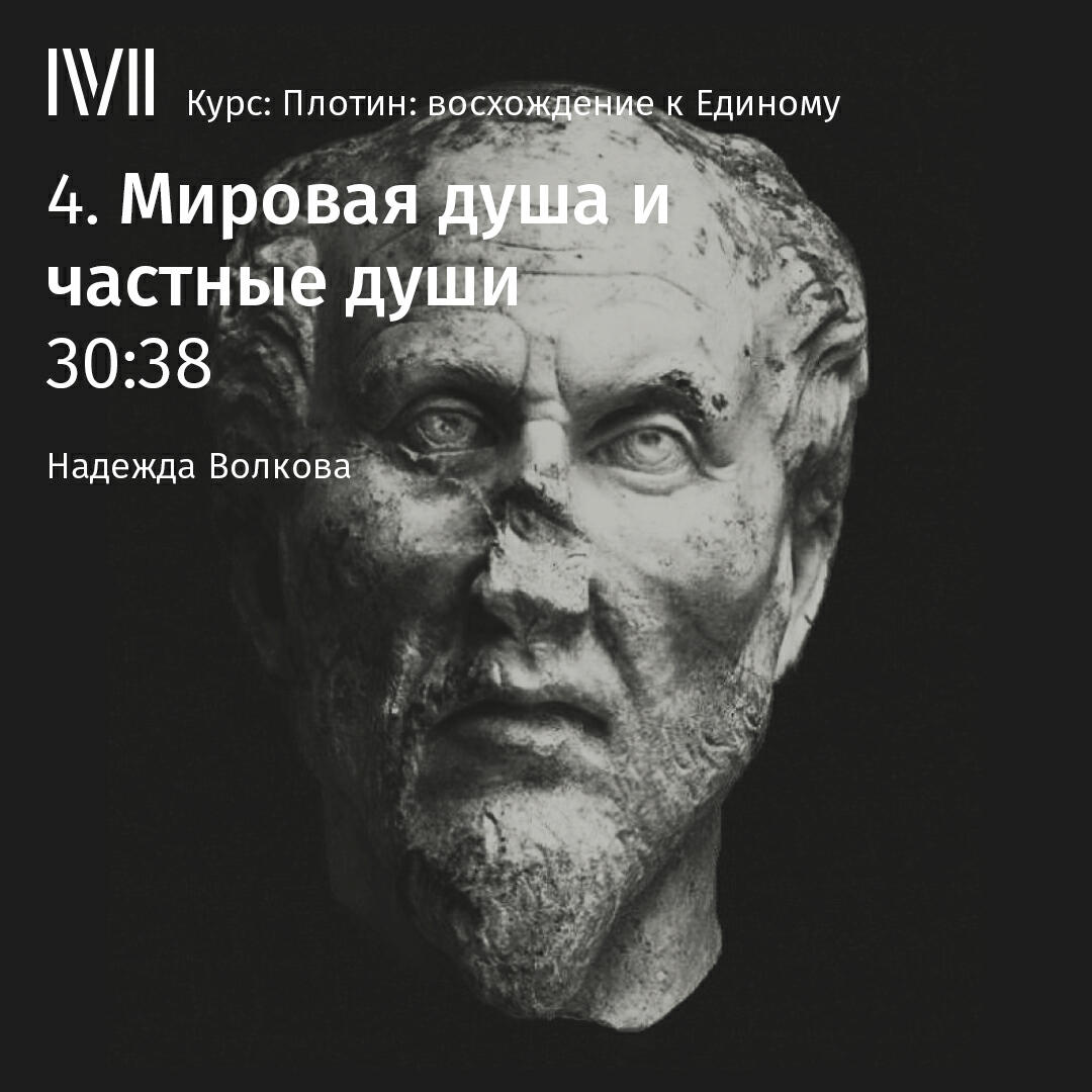 Книга "Мировая душа и частные души"
