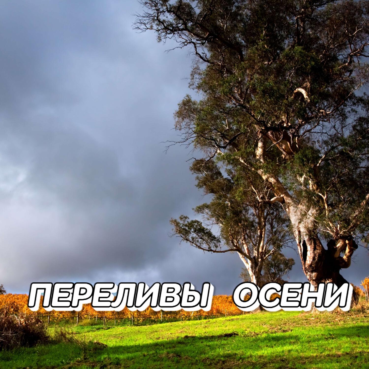 Релиз ПЕРЕЛИВЫ ОСЕНИ