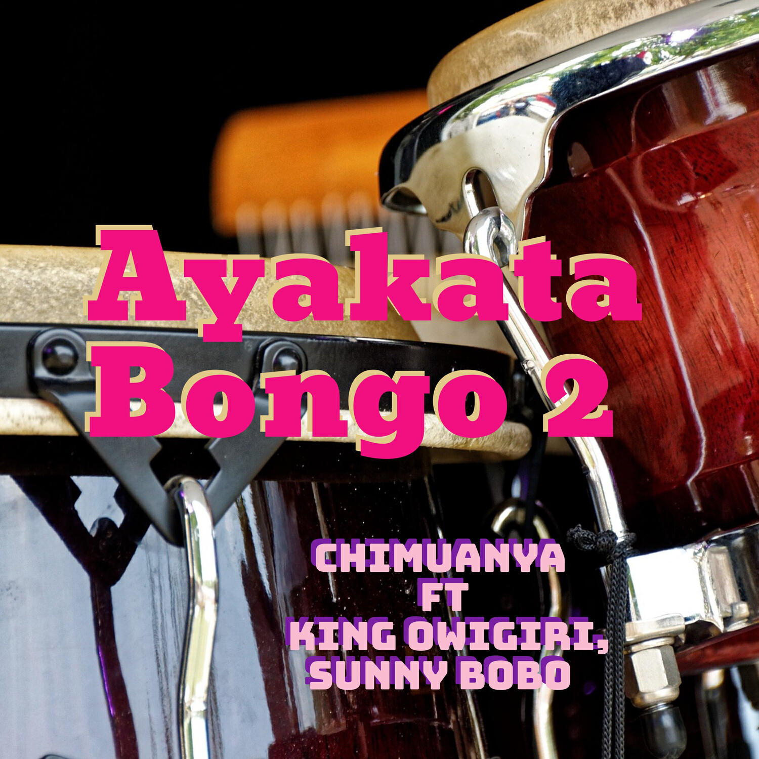 Трек Ayakata Bongo 2