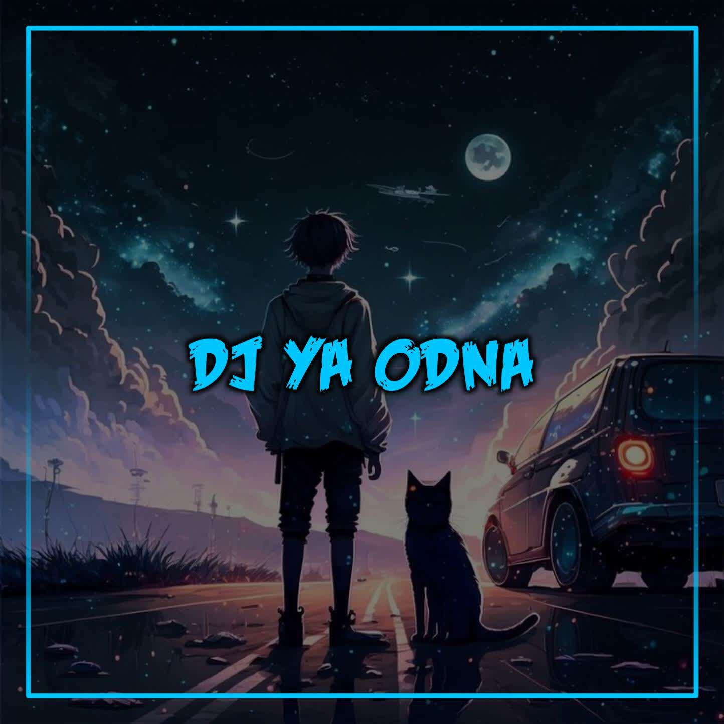 Релиз Dj Ya odna