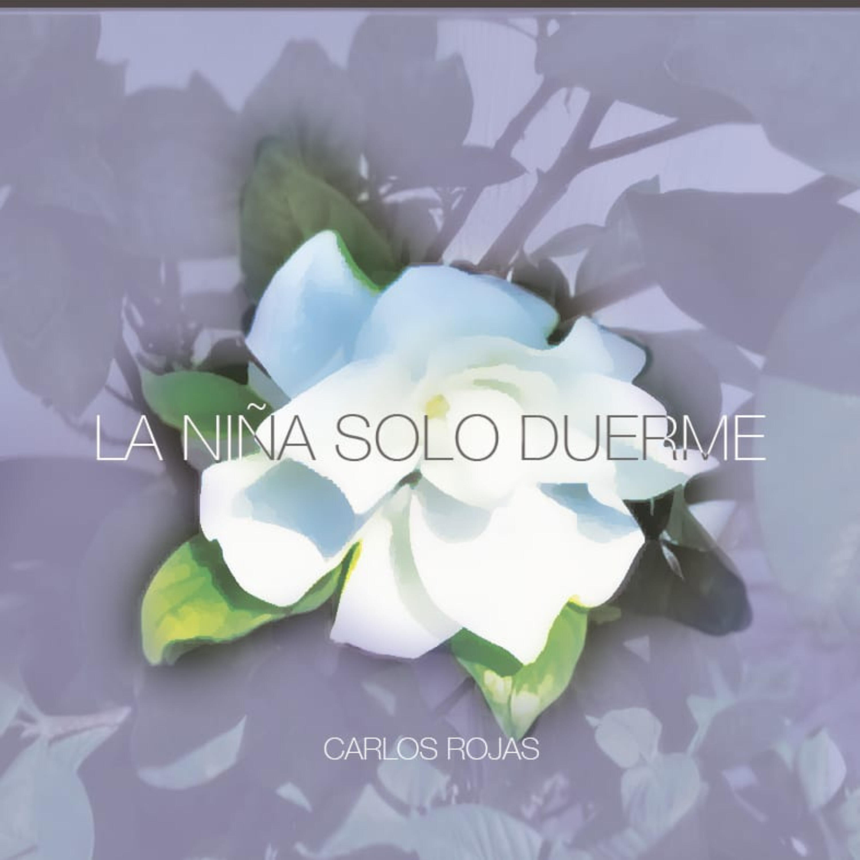 Релиз La Niña Solo Duerme