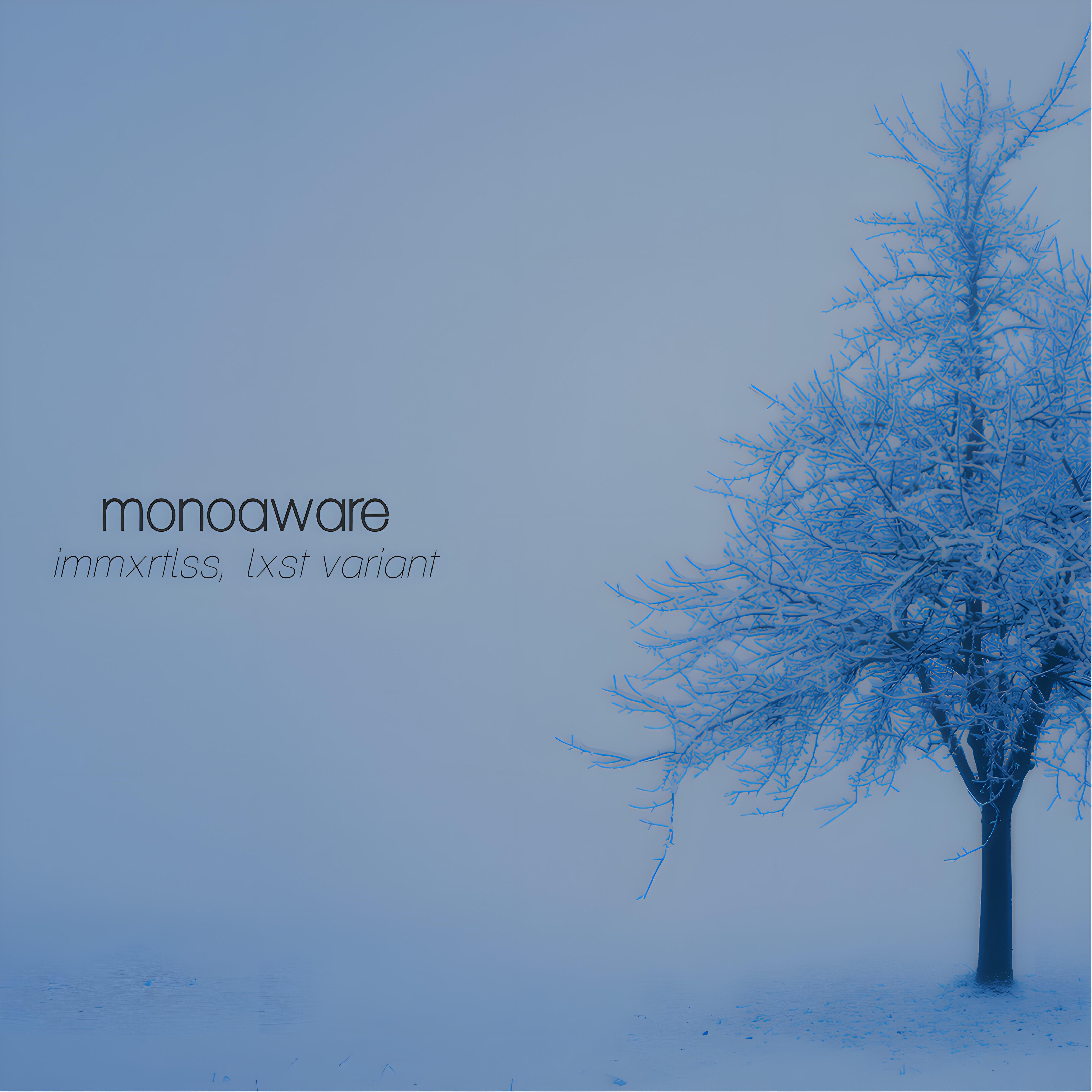 Релиз Monoaware