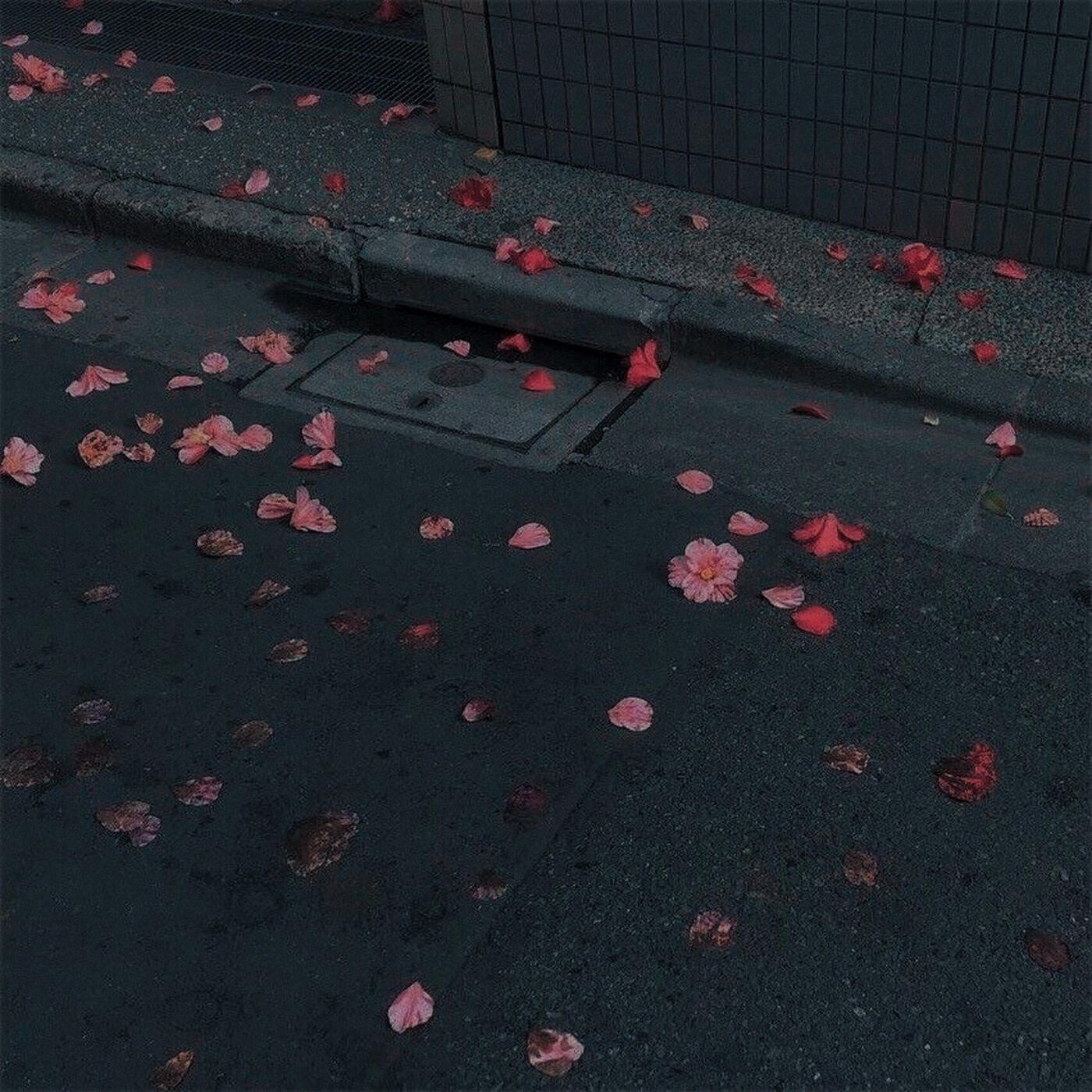 Релиз Be Mine Just Mine