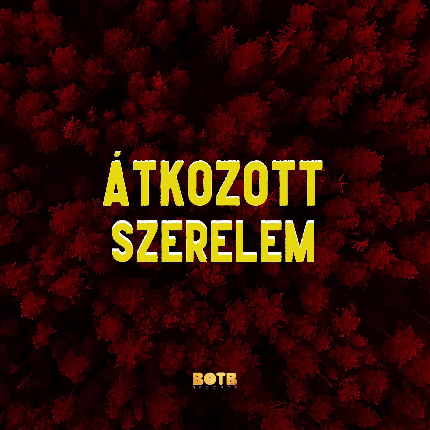 Скачать песню Burai, Nemazalány, Sofi - Átkozott szerelem бесплатно в MP3 для Android и iOS