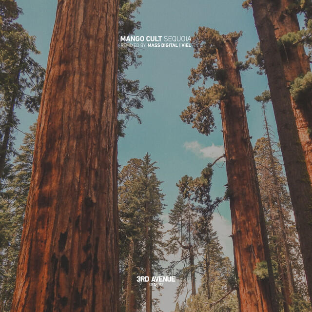 Релиз Sequoia