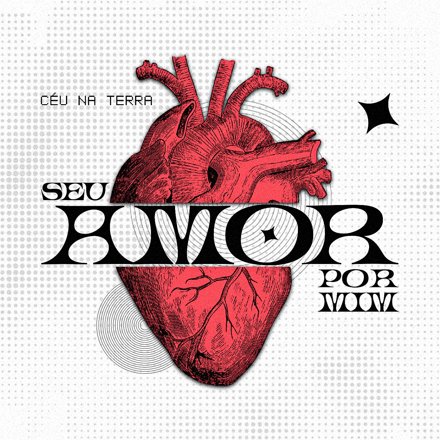 Релиз Seu Amor Por Mim