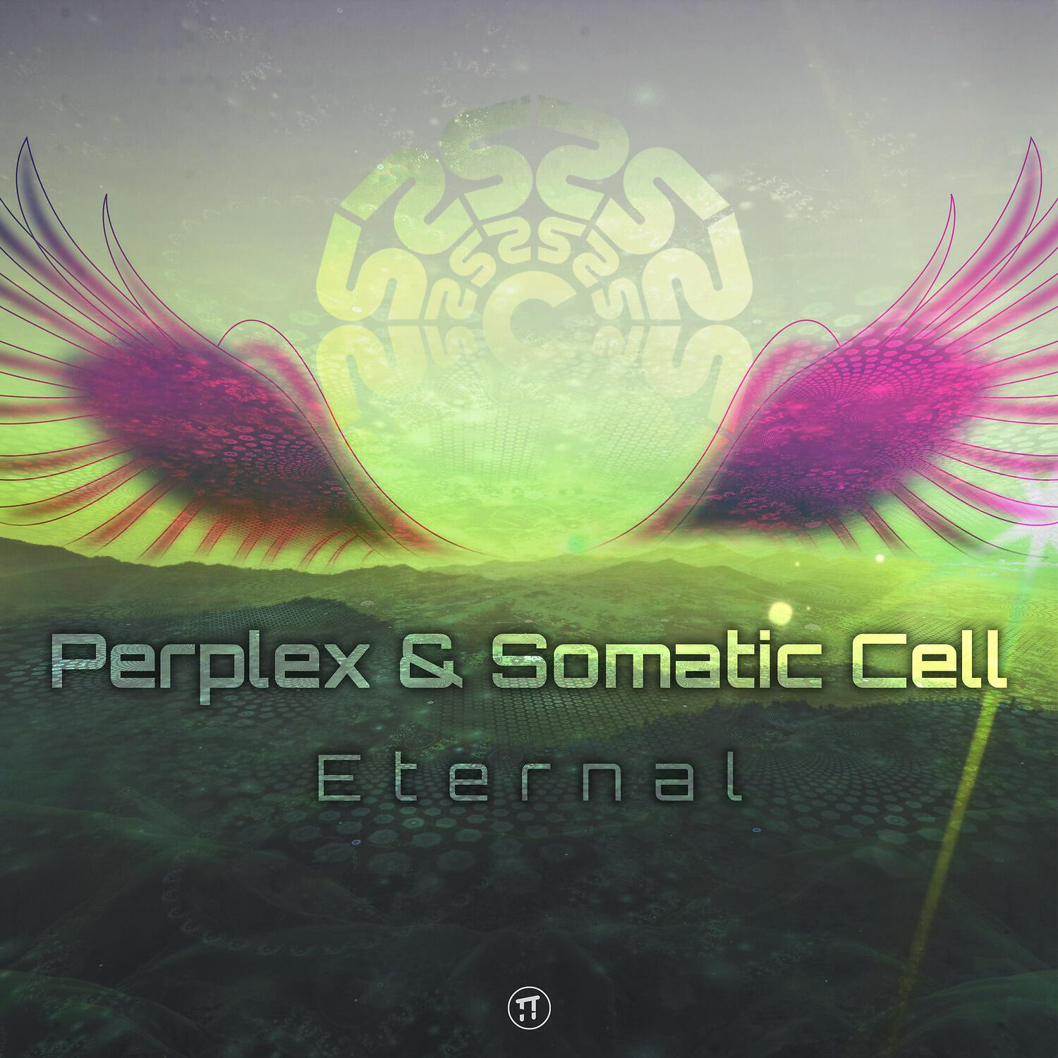 Релиз Eternal