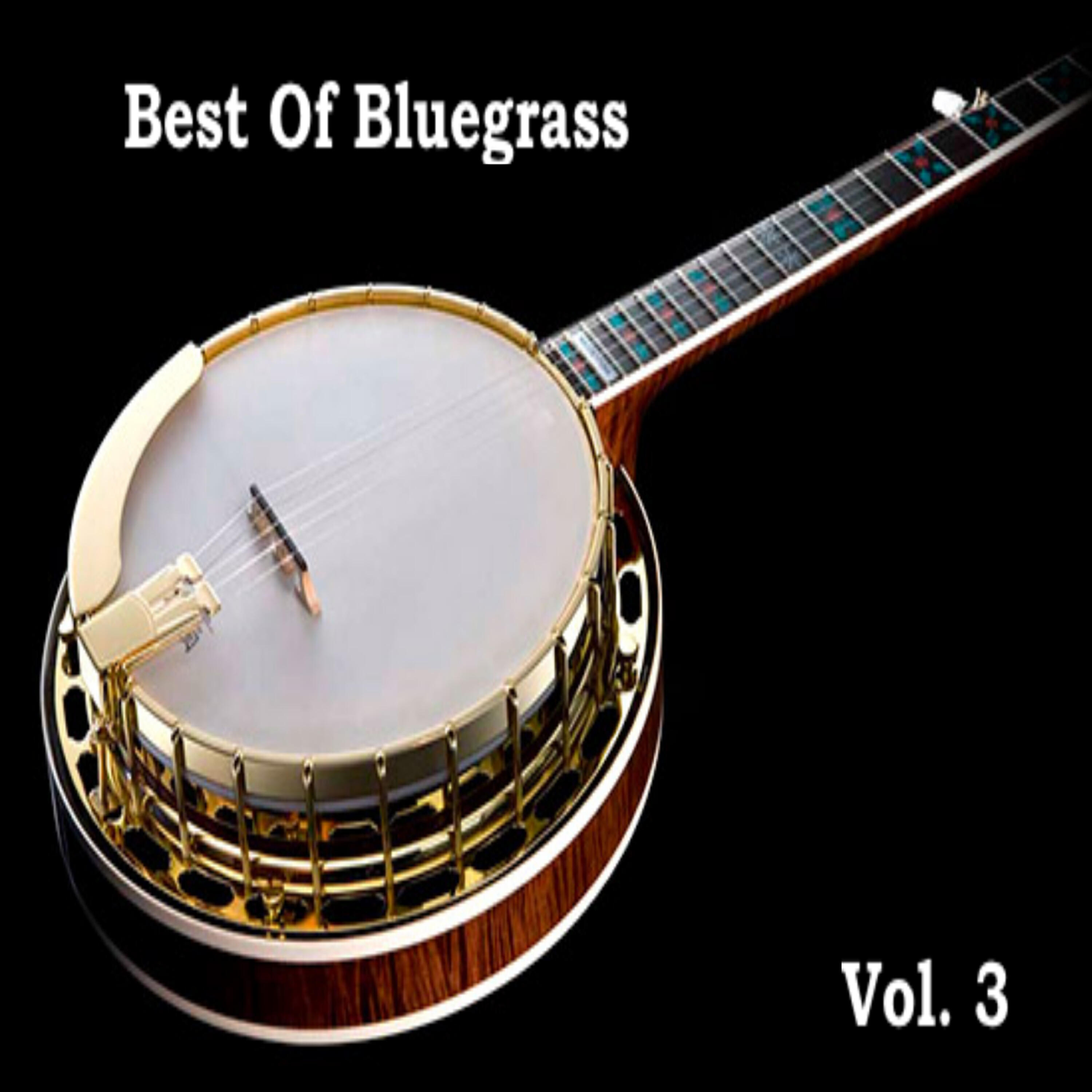 Релиз Best Of Bluegrass Vol. 3