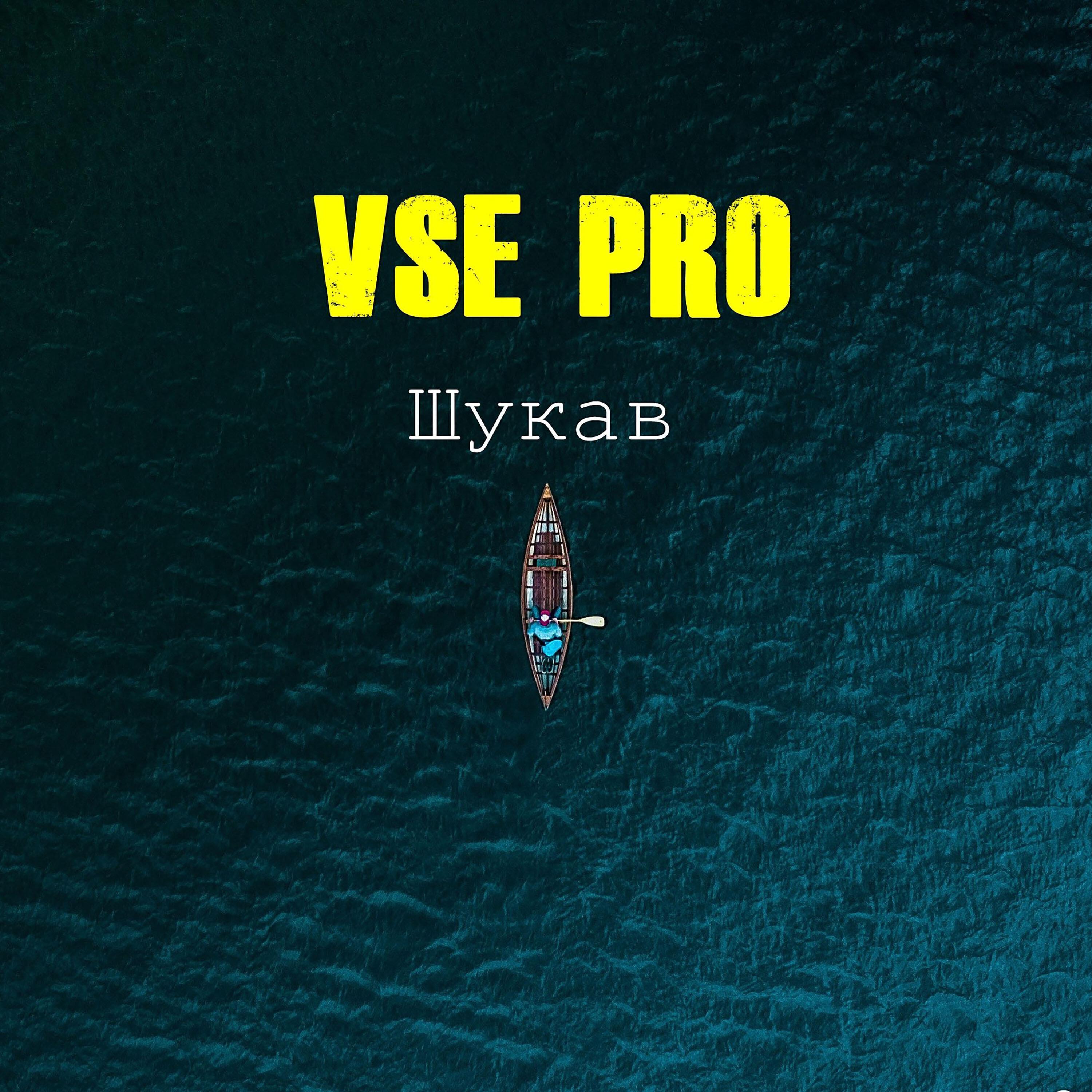 VSE PRO