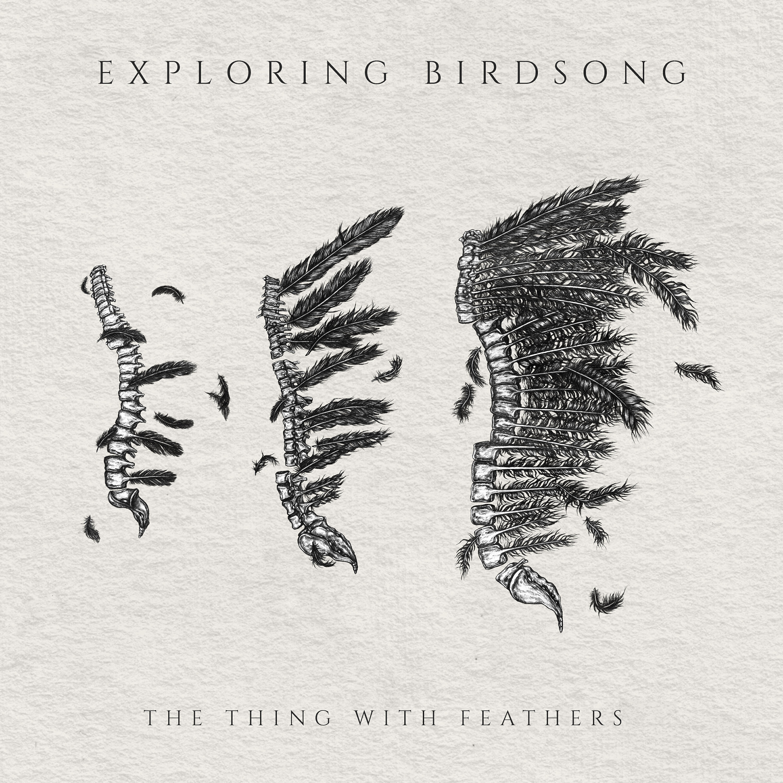 Релиз The Thing with Feathers